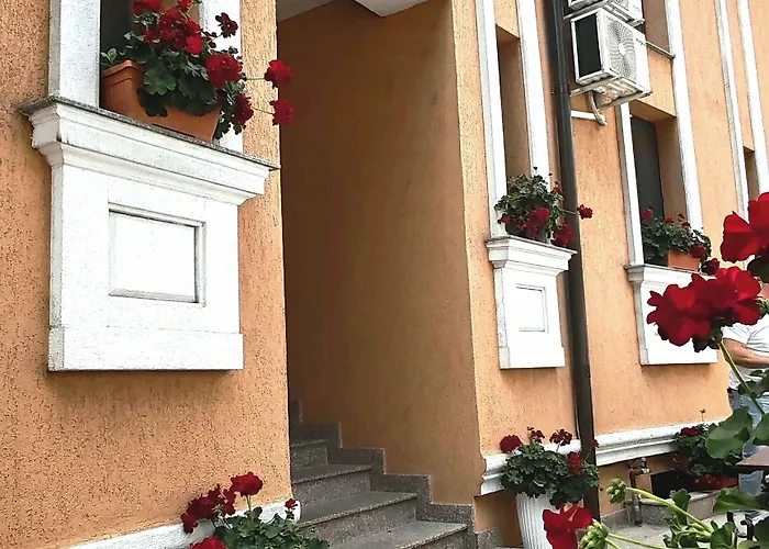 Bucur 9 게스트하우스