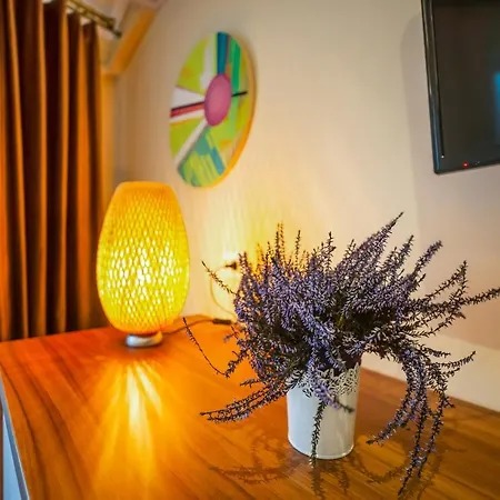 Bucur 9 Guest house Bucharest