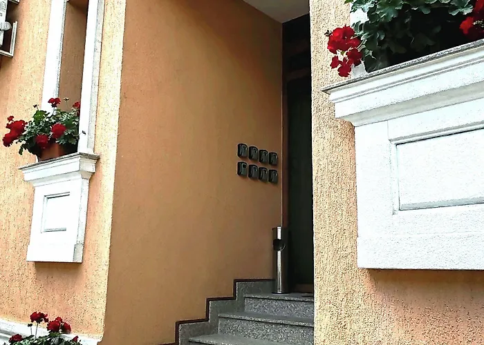 Bucur 9