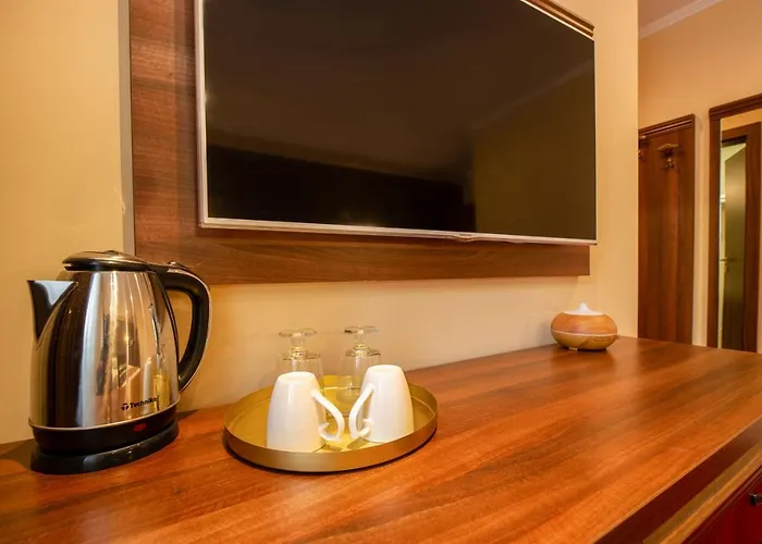 Gasthuis Bucur 9