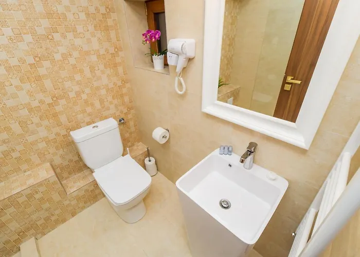 بيت ضيافة Bucur 9 3*